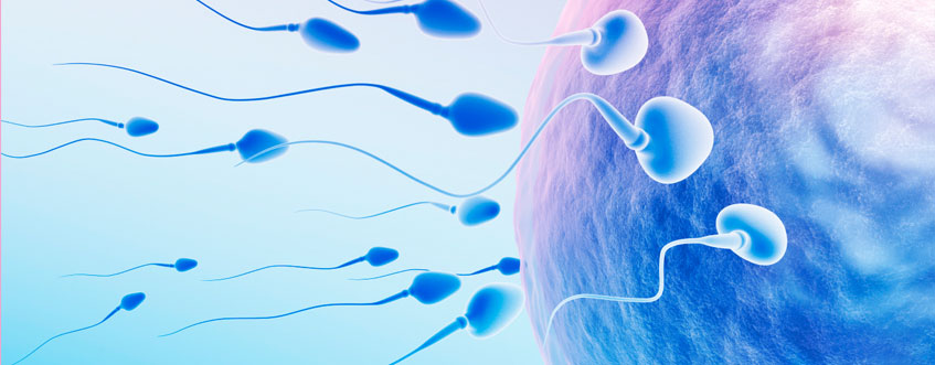 How Can I Boost My Fertility Male Tips Waterstone Clinic